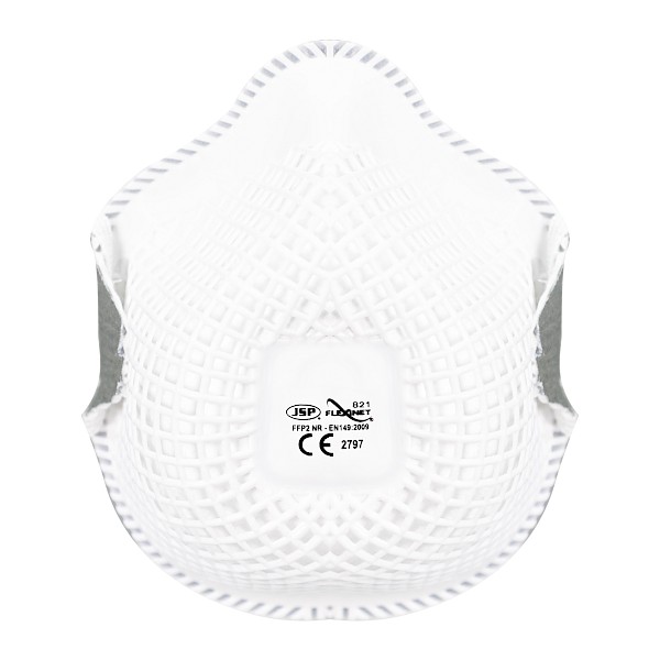 P2 Disposable Dust Masks (10)